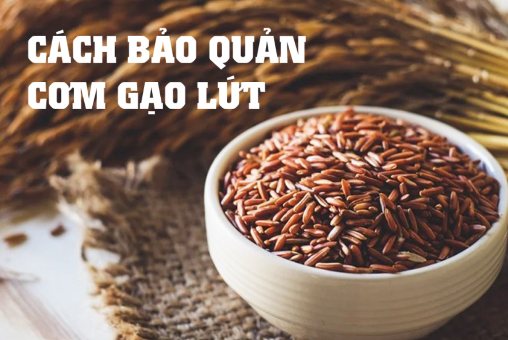 Bảo Quản Gạo Lứt Đen như thế nào?